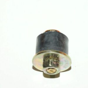 Expansions-plug