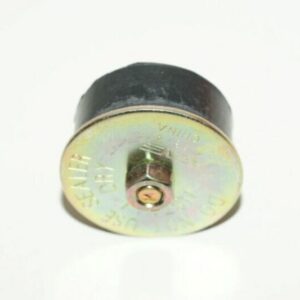 Expansions-plug