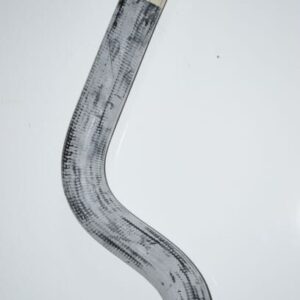 Kølerslange, øverste