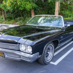 Lesabre 1972