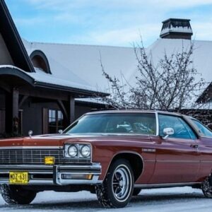 Lesabre 1975