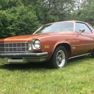 Century 1975