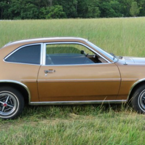 Bobcat 1978