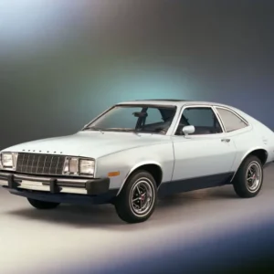 Bobcat 1979