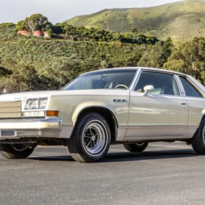 Lesabre 1979