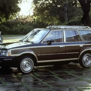 Lynx 1981
