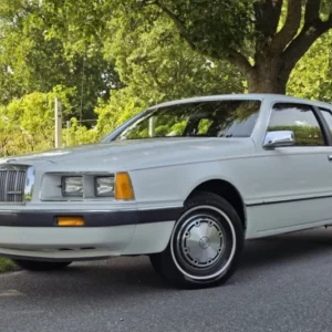 Cougar 1984