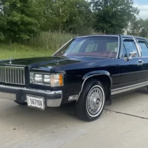 Marquis 1985