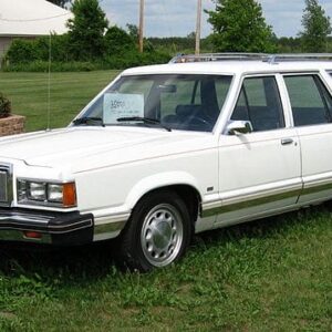 Cougar 1982