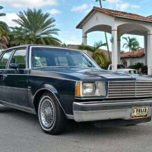 Century 1981