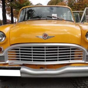 Checker 1973