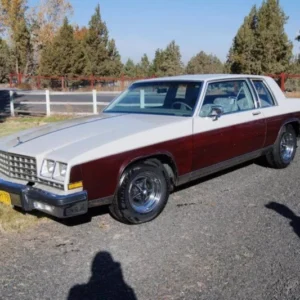 Lesabre 1980