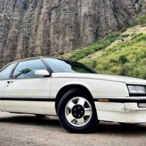 Lesabre 1989
