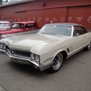 Wildcat 1965