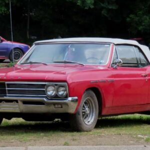 Special 1966