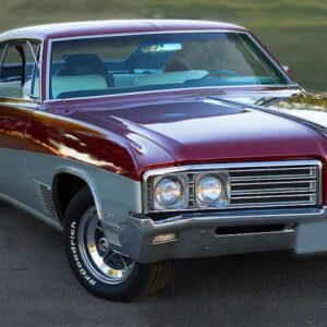 Wildcat 1968