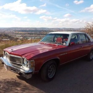Skylark 1977