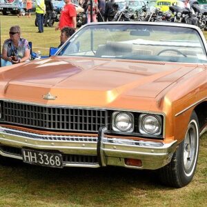 Caprice 1973