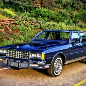 Caprice 1984
