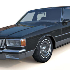 Caprice 1989