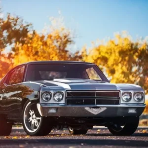 Chevelle 1977