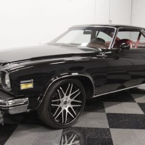Skylark 1974