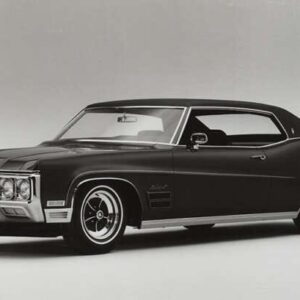 Wildcat 1969