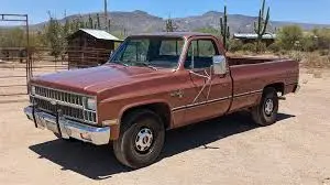 C20 Pickup 1982